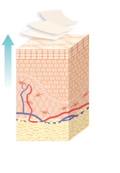 3ヶ月目/安定期